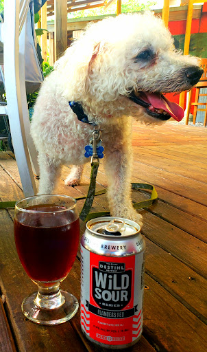 Brewery «New World Brewery», reviews and photos, 1313 E 8th Ave, Tampa, FL 33605, USA