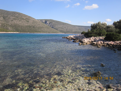 Yagcilar VI photo #2