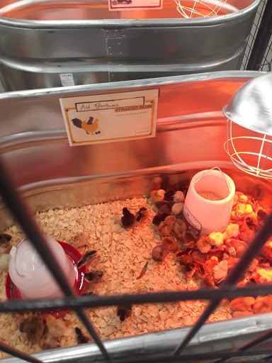 Home Improvement Store «Tractor Supply Co.», reviews and photos, 5618 US-90, Theodore, AL 36582, USA