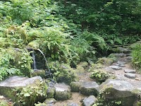 杜々の森湧水
