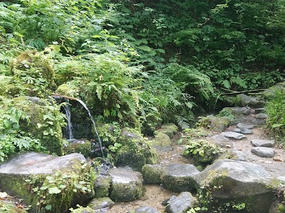 杜々の森湧水