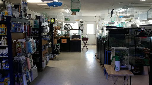 Tropical Fish Store «Pet World», reviews and photos, 3350 US-1, St Augustine, FL 32086, USA
