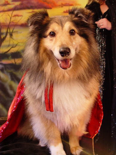 Tourist Attraction «Witch Pix», reviews and photos, 172 Essex St, Salem, MA 01970, USA