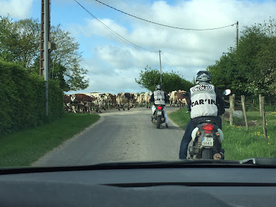 Car'in Conduite à Mortagne-au-Perche