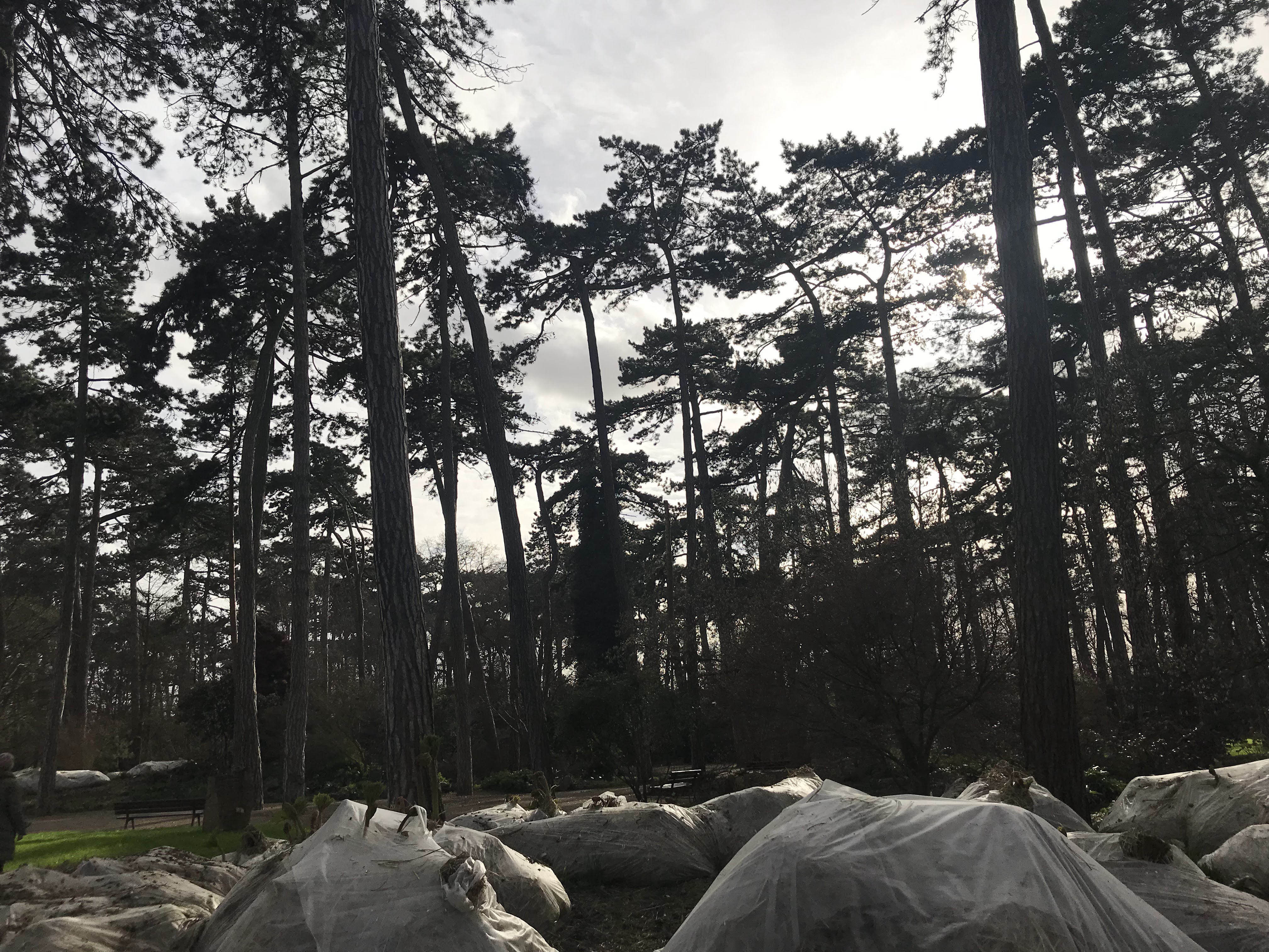 Photo n° 4 de l'avis de mihnea.n fait le 29/03/2019 à 17:57