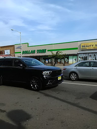 Dollar Store «Dollar Tree», reviews and photos, 886 Springfield Ave, Irvington, NJ 07111, USA