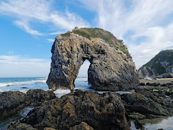 Zdjęcie Horse Head Rock Beach z poziomem czystości wysoki