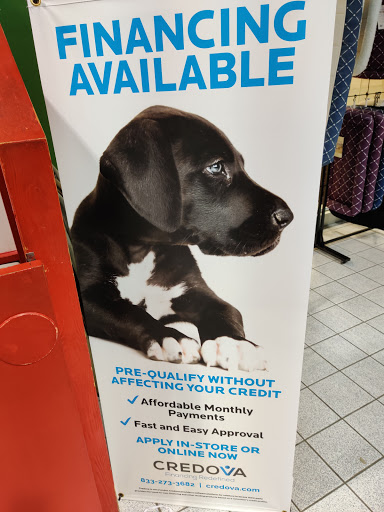 The Family Puppy At Oakland Mall