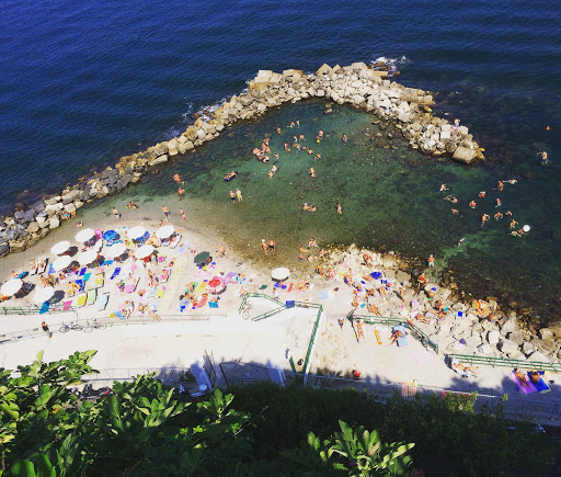 Travel Agency «Cruise Planners - Cruise our way and travel», reviews and photos, 17180 Mallard Ct, Eden Prairie, MN 55346, USA