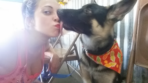 Pet Supply Store «Tail Waggers Pet Supplies», reviews and photos, 4931 S Mingo Rd a, Tulsa, OK 74146, USA