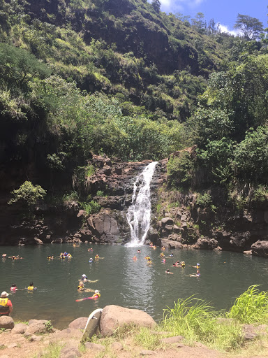 Travel Agency «Magnified Vacations CruiseOne», reviews and photos, 8516 Charleston Ct, Avon, IN 46123, USA