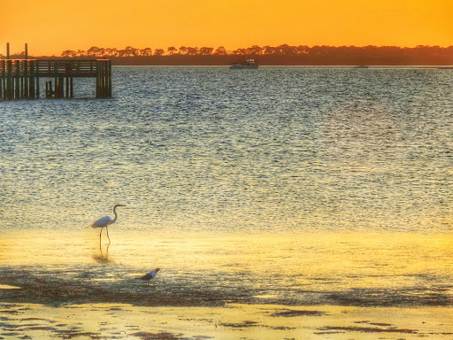 Park «Josiah Cephus Weaver Park», reviews and photos, 1258 Bayshore Blvd, Dunedin, FL 34698, USA