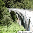 Schwandbach Bridge