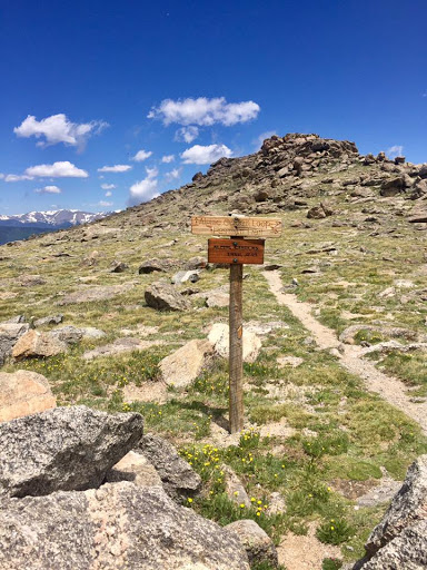 Nature Preserve «Mount Goliath Natural Area», reviews and photos, Mt Evans Rd, Evergreen, CO 80439, USA