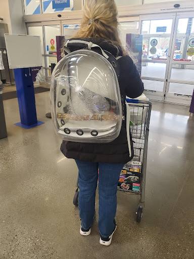 Department Store «Walmart Supercenter», reviews and photos, 3497 Bethel Rd SE, Port Orchard, WA 98366, USA