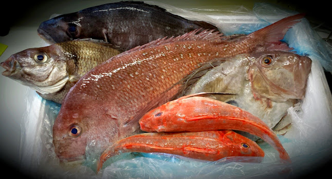Reviews of Star Fish Supply Ltd in Napier - Butcher shop
