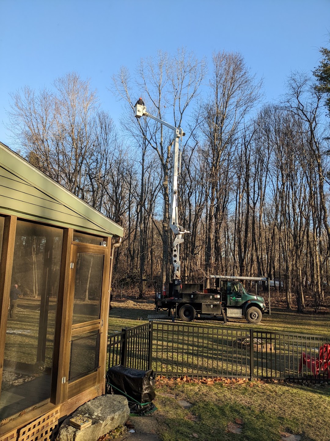 Orion Tree Services