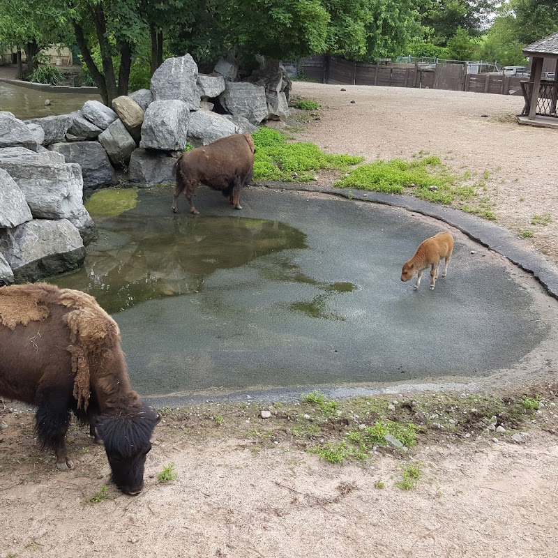 Rosamond Gifford Zoo