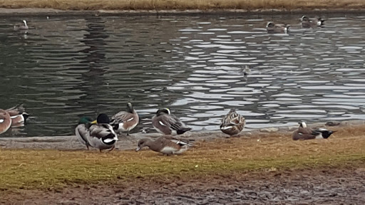 Park «Greer Park», reviews and photos, 6900 W McFadden Ave, Huntington Beach, CA 92647, USA