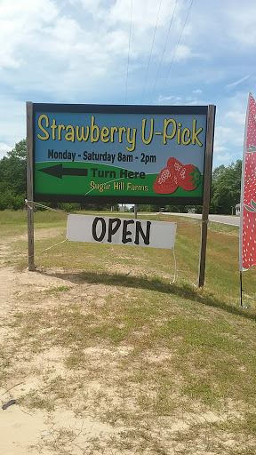 Tourist Attraction «Sugar Hill U-pick Farms», reviews and photos, 3595 Co Rd 59, Verbena, AL 36091, USA