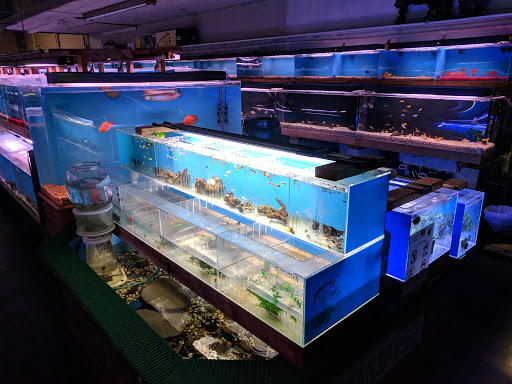 Tropical Fish Store «Tokyo Aquarium», reviews and photos, 4600 W Adams Blvd, Los Angeles, CA 90016, USA