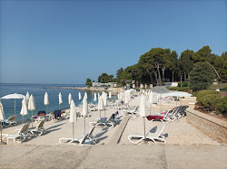 Hotel Katarina Beach'in fotoğrafı geniş bir kıyı şeridi ile birlikte