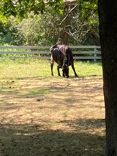 Park «Endicott Park (Town of Danvers)», reviews and photos, 57 Forest St, Danvers, MA 01923, USA