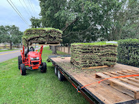 Florida Landscape & Lawn Management, Inc - Photo 5 - Car repair in , Lakeland