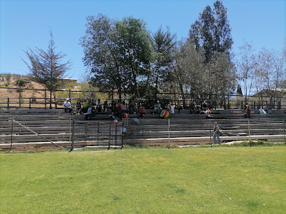 Cancha Club Deportivo Limachito