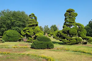 The Pearl Fryar Topiary Garden image
