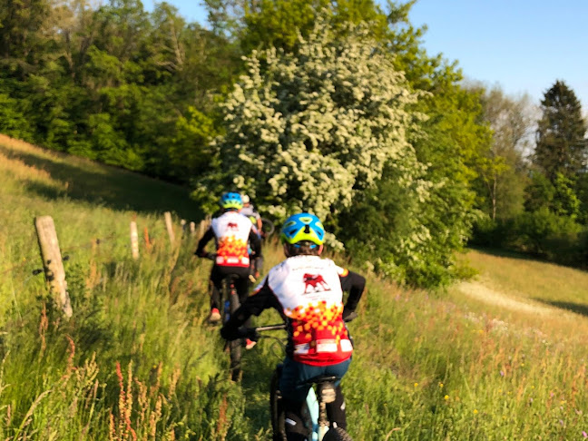 Bike Team Mellingen - Aarau