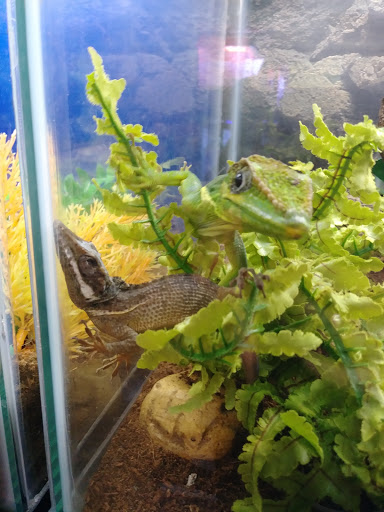 Pet Store «Pet Cove», reviews and photos, 820 E Center St, Kingsport, TN 37660, USA