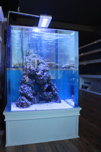Gills Aquarium Store image 7
