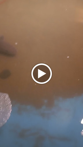 Aquarium «Biomes Marine Biology Center», reviews and photos, 6640 Post Rd, North Kingstown, RI 02852, USA