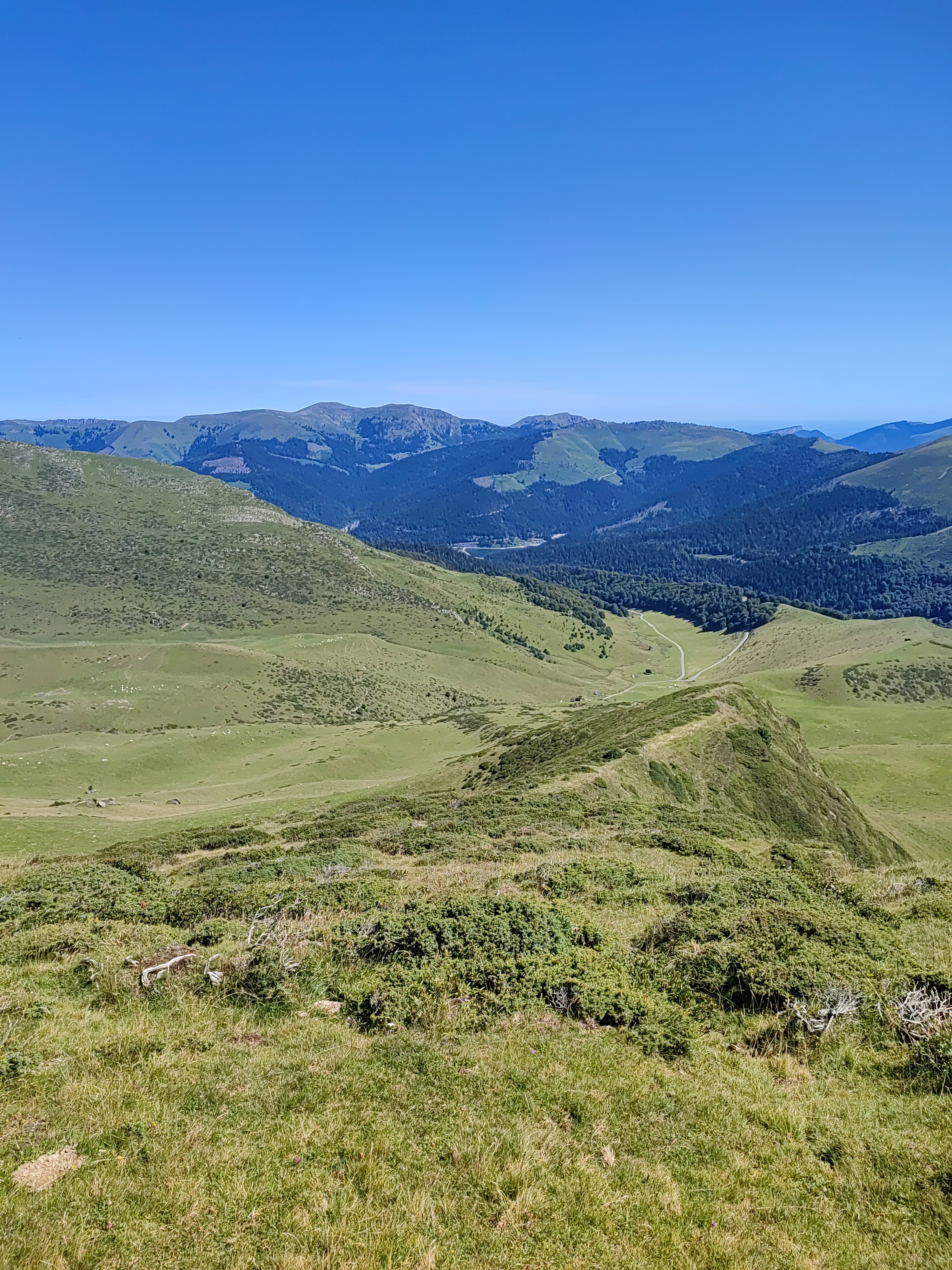 Photo n° 2 de l'avis de Arnaud.u fait le 08/08/2023 à 13:24