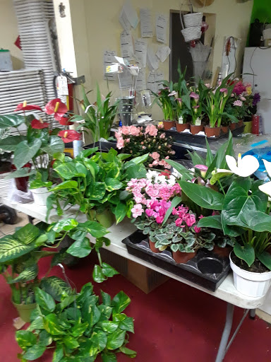 Florist «Florals by Ana», reviews and photos, 4408 E Rosecrans Ave, Compton, CA 90221, USA