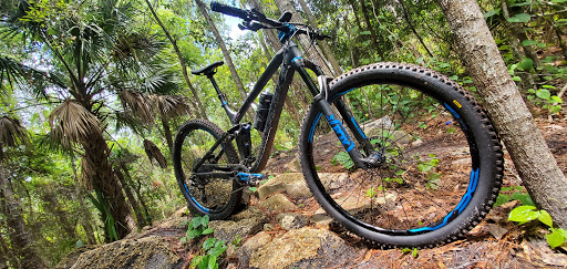 Bicycle Store «Bicycles Etc.», reviews and photos, 8036 Philips Hwy #8, Jacksonville, FL 32256, USA