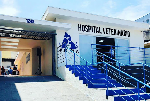 Ânima Hospital Veterinário Unidade Itaquera em São Paulo - SP