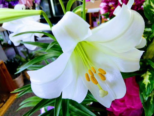 Florist «A Personal Touch Florist», reviews and photos, 343 N Franklin Ave, Nutley, NJ 07110, USA