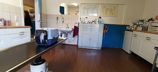 Raphael Sanders veterinary practice unter Brühl, Nordrhein-Westfalen