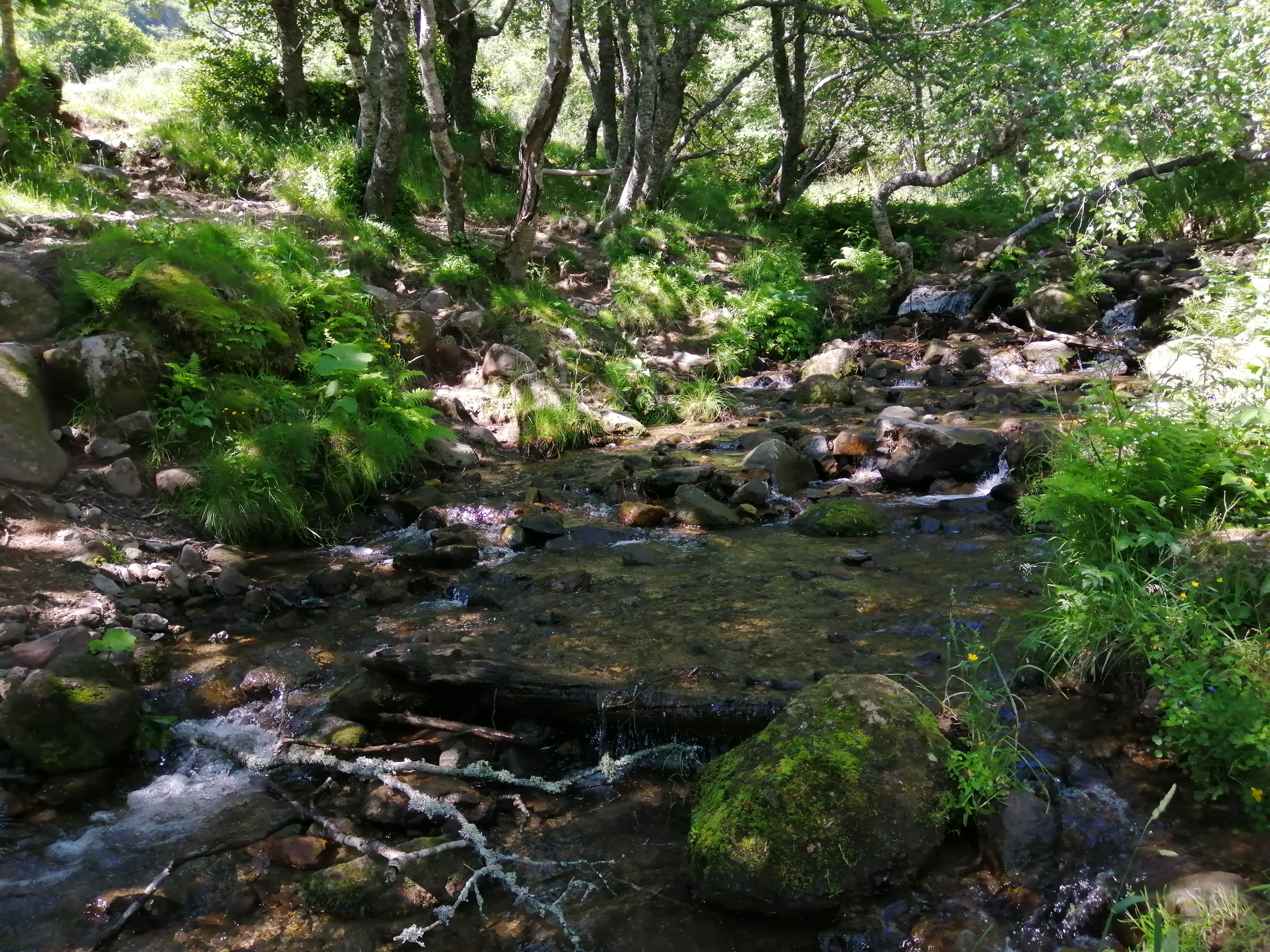 Photo n° 10 de l'avis de benoit.a fait le 12/07/2021 à 14:14