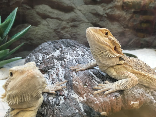 Pet Supply Store «Petco Animal Supplies», reviews and photos, 103 Commerce Way a, Woburn, MA 01801, USA