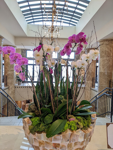 Hotel «Eilan Hotel & Spa, Autograph Collection», reviews and photos, 18603 La Cantera Terrace, San Antonio, TX 78256, USA