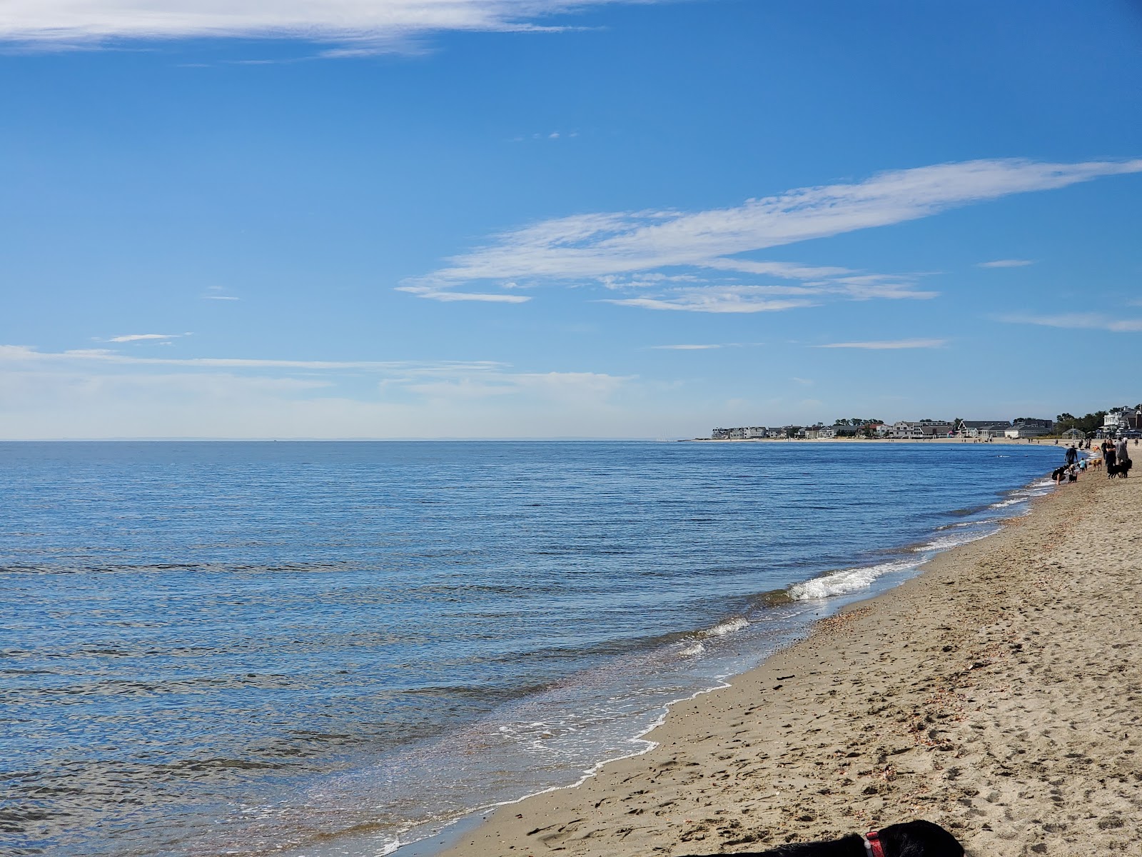 Jennings Beach的照片 带有宽敞的海岸