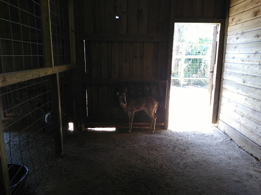 Zoo «ZooWorld Zoological and Botanical Conservatory», reviews and photos, 9008 Front Beach Rd, Panama City Beach, FL 32407, USA