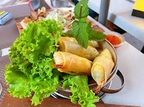 Rouleau de printemps du Restaurant de nouilles (ramen) Les nouilles vivantes 面·Tchang à Aix-en-Provence - n°2