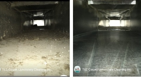 Carpet Cleaning Service «TLC Carpet and Upholstery Cleaning», reviews and photos, 6380 W 10th St #7, Greeley, CO 80634, USA