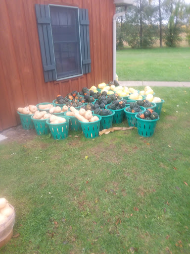 Produce Market «Rush Vegetables», reviews and photos, 2120 Eagle Harbor Waterport Rd, Albion, NY 14411, USA