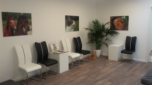 Dr. Stephanie Milz unter Stuttgart, 