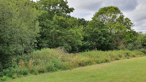 Berrylands Park